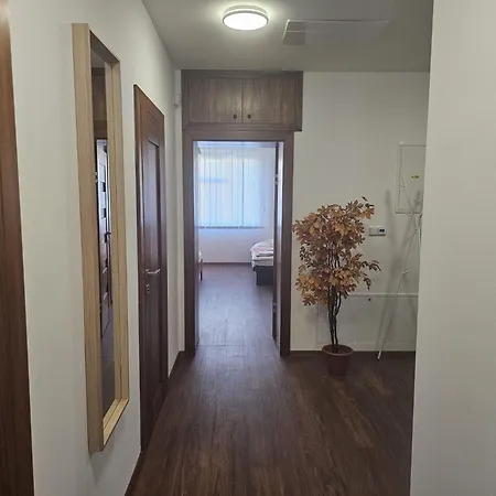 Apartament Halkova *